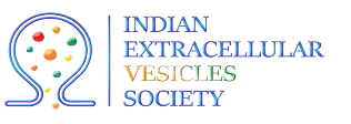 IEVS Logo